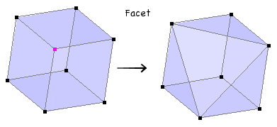 Facet vertices